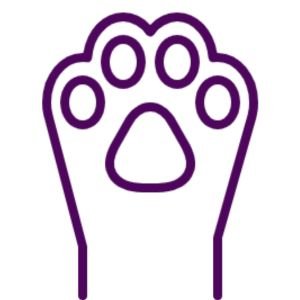 Corte y limado de uñas mascotas Corte y limado de uñas mascotas