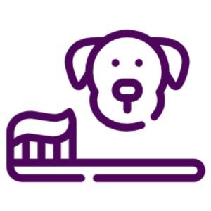 Higiene dental mascotas Higiene dental mascotas