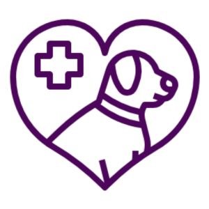 Prevención y salud mascotas Prevención y salud mascotas