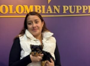 Cliente Colombian Puppy 03