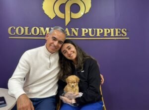 Cliente Colombian Puppy 05
