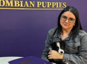 Cliente Colombian Puppy 08