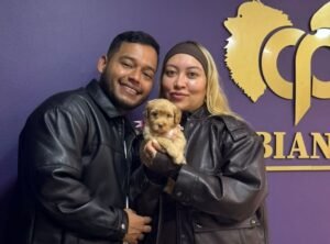 Cliente Colombian Puppy 09
