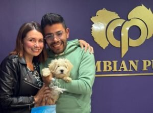 Cliente Colombian Puppy 13
