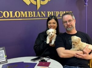 Cliente Colombian Puppy 19