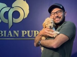 Cliente Colombian Puppy 24