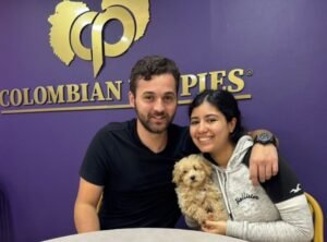 Cliente Colombian Puppy 25