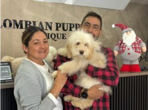 Cliente Colombian Puppy 26