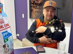 Cliente Colombian Puppy 28