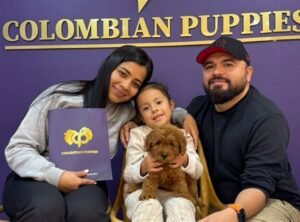 Cliente Colombian Puppy 33