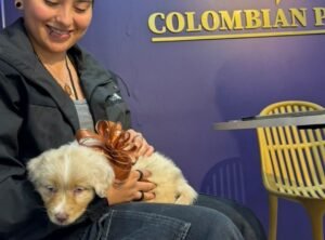 Cliente Colombian Puppy 34