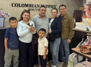Cliente Colombian Puppy 42