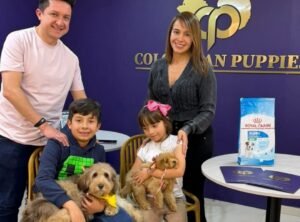 Cliente Colombian Puppy 44