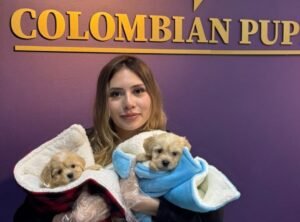 Cliente Colombian Puppy 49
