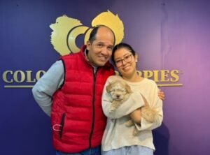Cliente Colombian Puppy 50