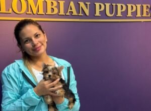 Cliente Colombian Puppy 52