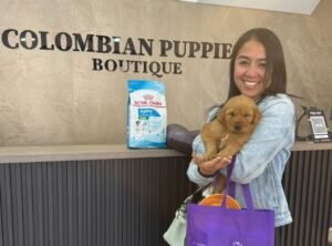 Cliente Colombian Puppy 53