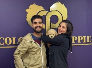 Cliente Colombian Puppy 54