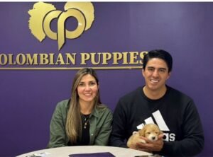 Cliente Colombian Puppy 56