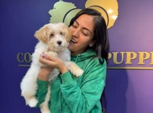 Cliente Colombian Puppy 57