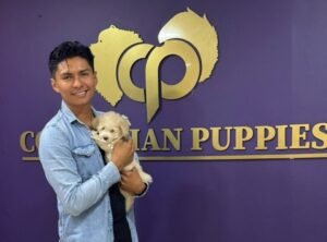 Cliente Colombian Puppy 60