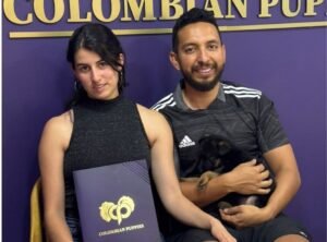 Cliente Colombian Puppy 61