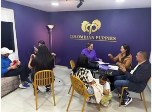 Sala de Entregas Colombian Puppies