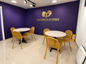 Colombian Puppies Sala de entrega de cachorros Bogotá